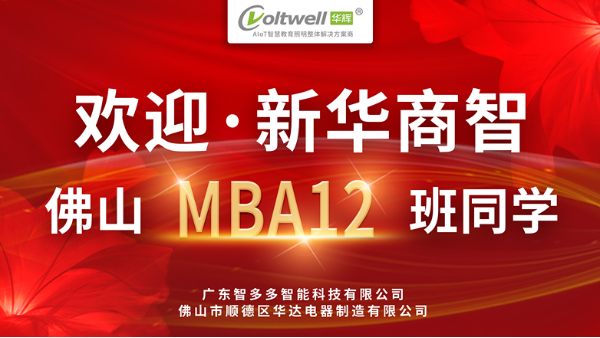 新華商智佛山<i style='color:red'>mba12</i>班蒞臨廣東智多多，稅務(wù)賦能企業(yè)煥新機(jī)